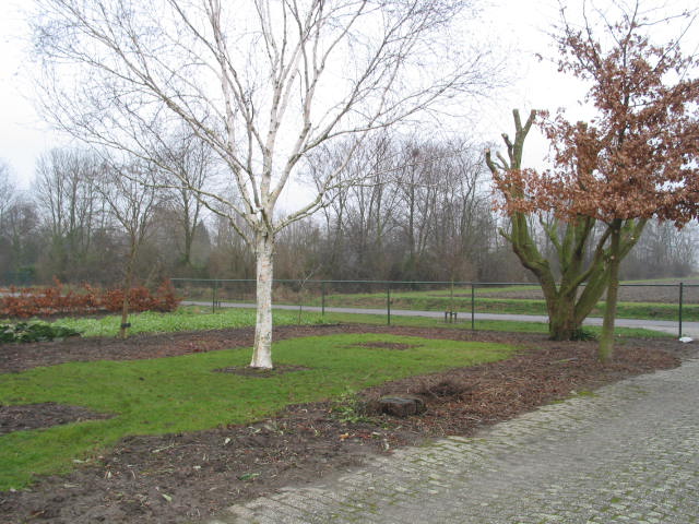 Nieuwjaarsdag 2008