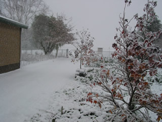 Sneeuwdek 23 nov 2008