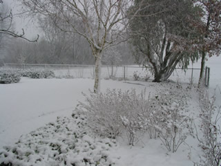 Sneeuwdek 23 nov 2008