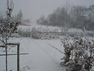 Sneeuwdek 23 nov 2008