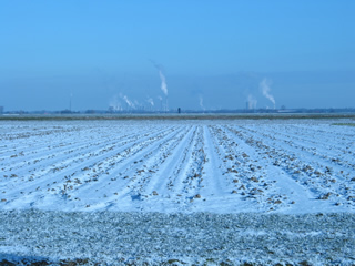 Besneeuwde polder